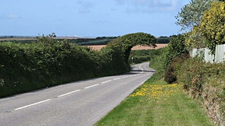 Photo "The Road to Newquay. The strange shaped tree growing over the road seems to have been bent over by the prevailing southwest wind and cropped underneath by lorries. It looks something like a breaking wave, quite appropriate really as the white dots on the horizon are buildings in Newquay." by Tony Atkin (Creative Commons Attribution-Share Alike 2.0) / Cropped from original