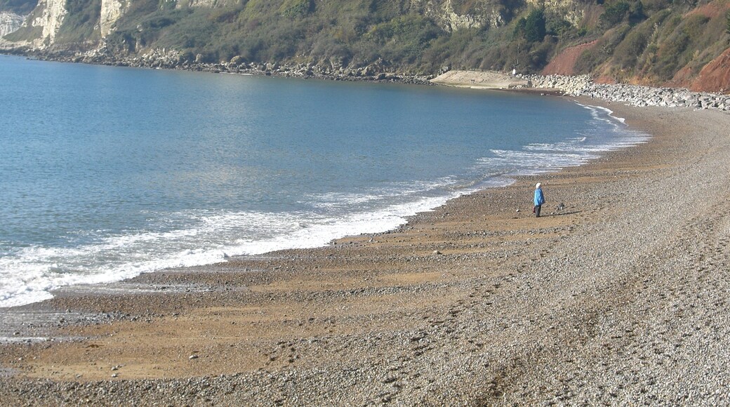 Photo "Seaton Beach" by PJMarriott (CC BY) / Cropped from original