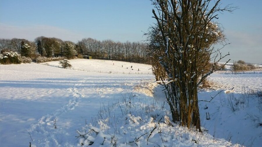 Photo "Snowy fields in East Ilsley The ditch is the dry bed of the River Pang, which flows when the water table rises." by Fly (Creative Commons Attribution-Share Alike 2.0) / Cropped from original