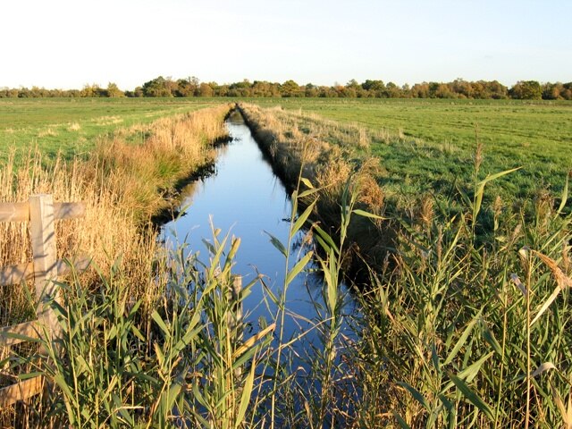 Foto “Wood Walton” tomada por Rodney Burton (CC BY-SA); recorte de la original