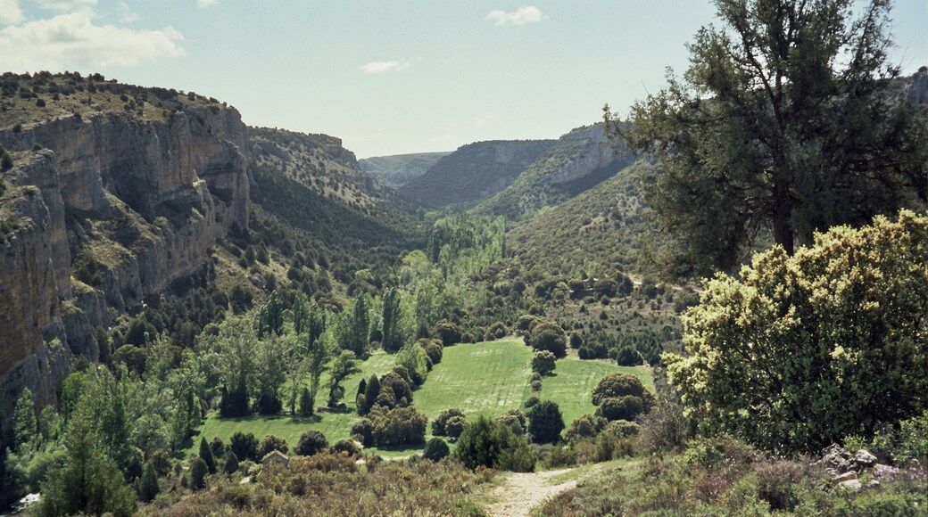 Bildet «Montejo de la Vega de la Serrezuela» tatt av Rowanwindwhistler (CC BY-SA) / originalbilde beskjært
