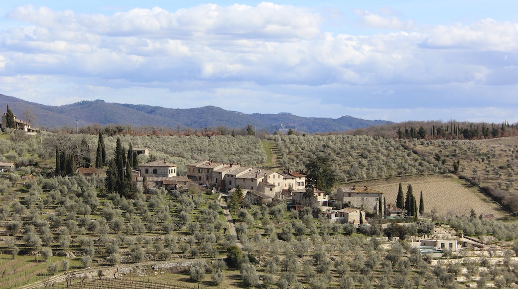Photo "Gaiole in Chianti" by LigaDue (CC BY-SA) / Cropped from original