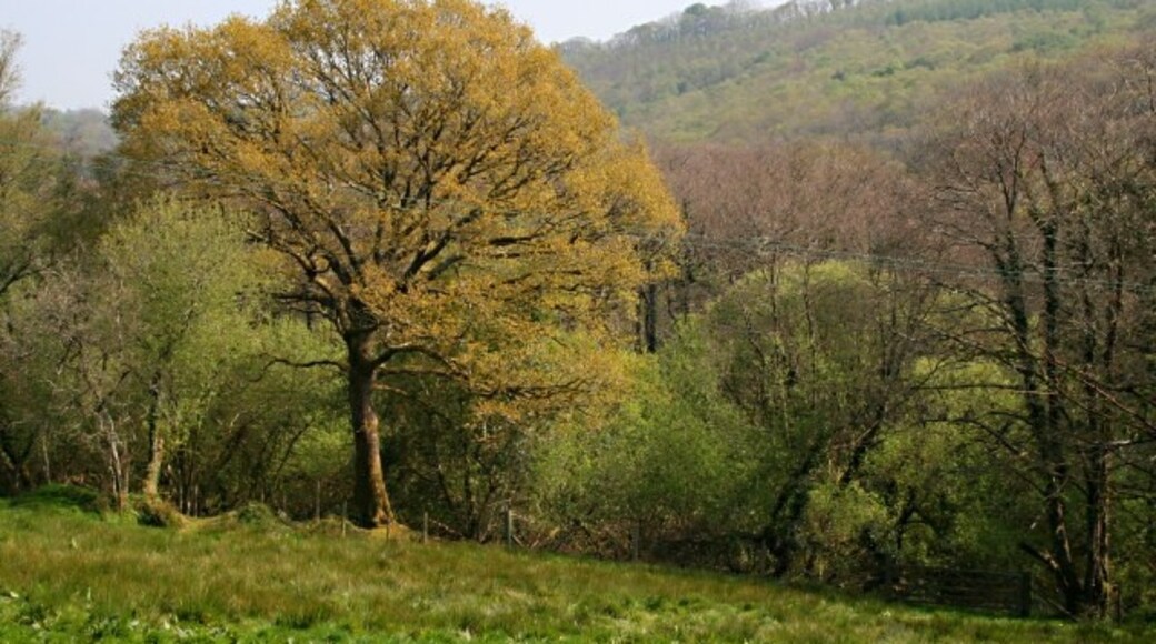 Foto "St. Ive" de Tony Atkin (CC BY-SA) / Recortada do original