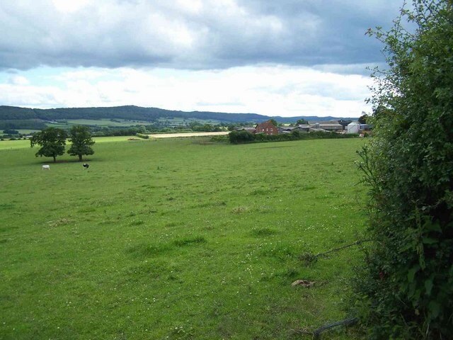 Photo "Harley" by Geoff Pick (CC BY-SA) / Cropped from original