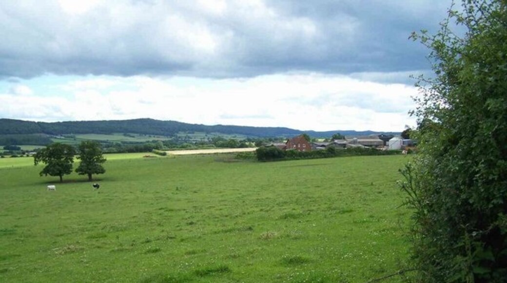 Photo "Harley" by Geoff Pick (CC BY-SA) / Cropped from original