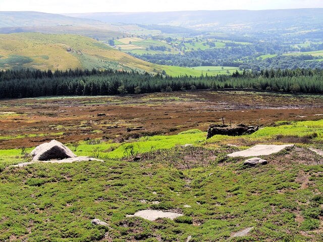 Foto “Barden” tomada por David Spencer (CC BY-SA); recorte de la original