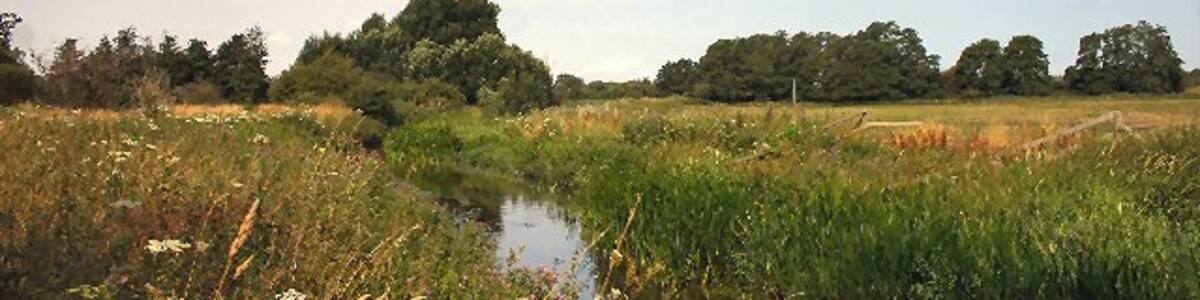 Photo "River Lark west of Icklingham. Looking downstream before Temple Bridge." by Bob Jones (Creative Commons Attribution-Share Alike 2.0) / Cropped from original