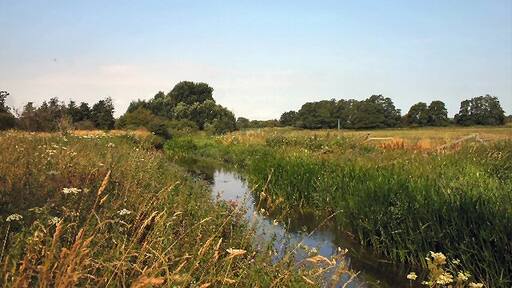 Kuva ”Cavenham” käyttäjältä Bob Jones (CC BY-SA) / rajattu alkuperäisestä kuvasta