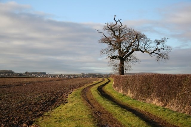 Foto “Woodsetts” tomada por Richard Croft (CC BY-SA); recorte de la original