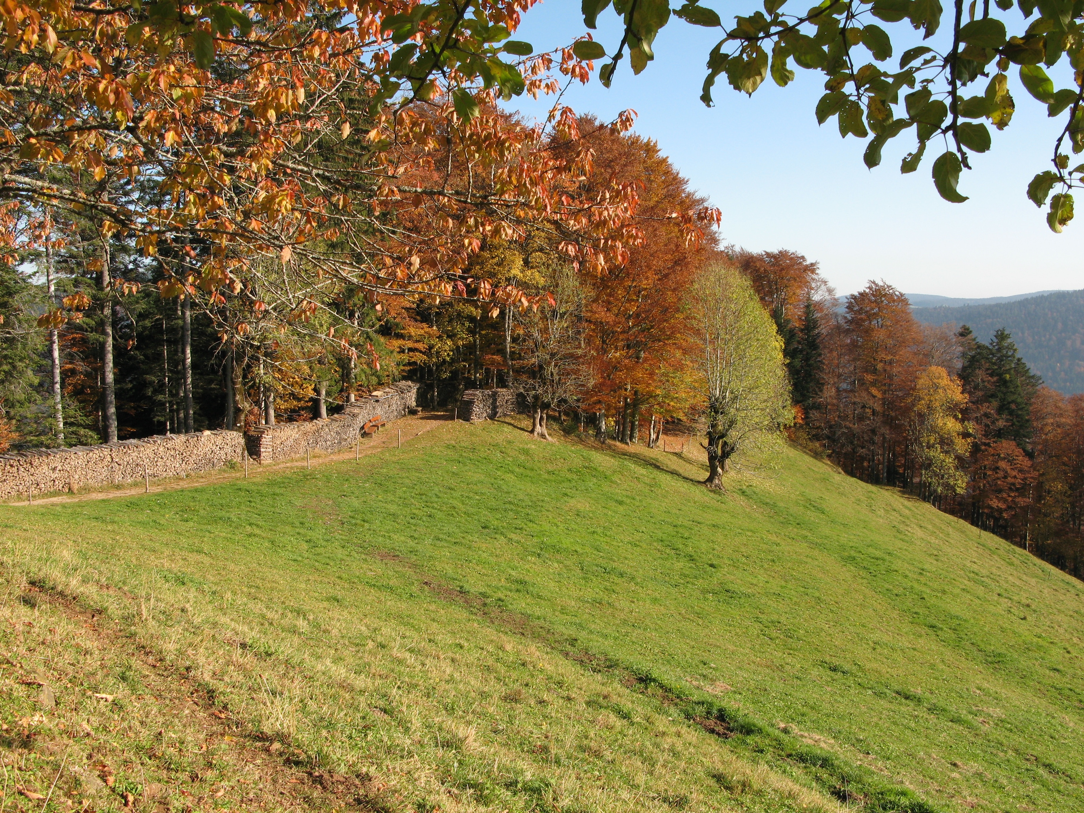 Photo "Obersimonswald" by Adrian Thomale (CC BY-SA) / Cropped from original