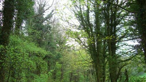 Photo "Coulston" by Philip Reed (CC BY-SA) / Cropped from original