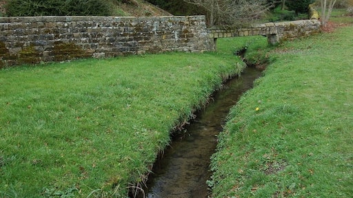 Foto ‘Burley in Wharfedale’ van John Sparshatt (CC BY-SA) / bijgesneden versie van origineel