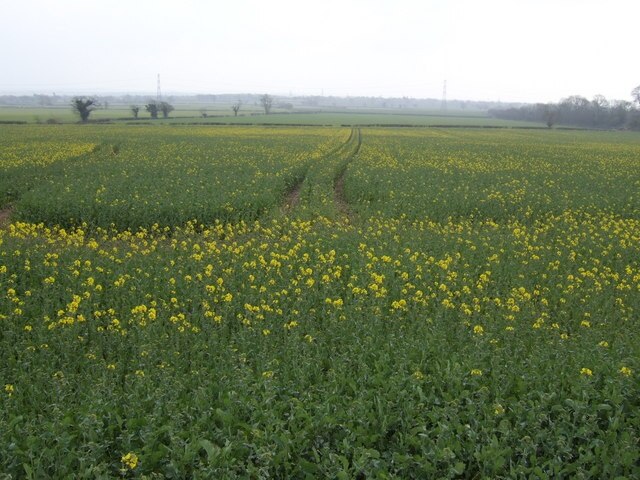 "Tytherington"-foto av Jonathan Billinger (CC BY-SA) / Urklipp från original