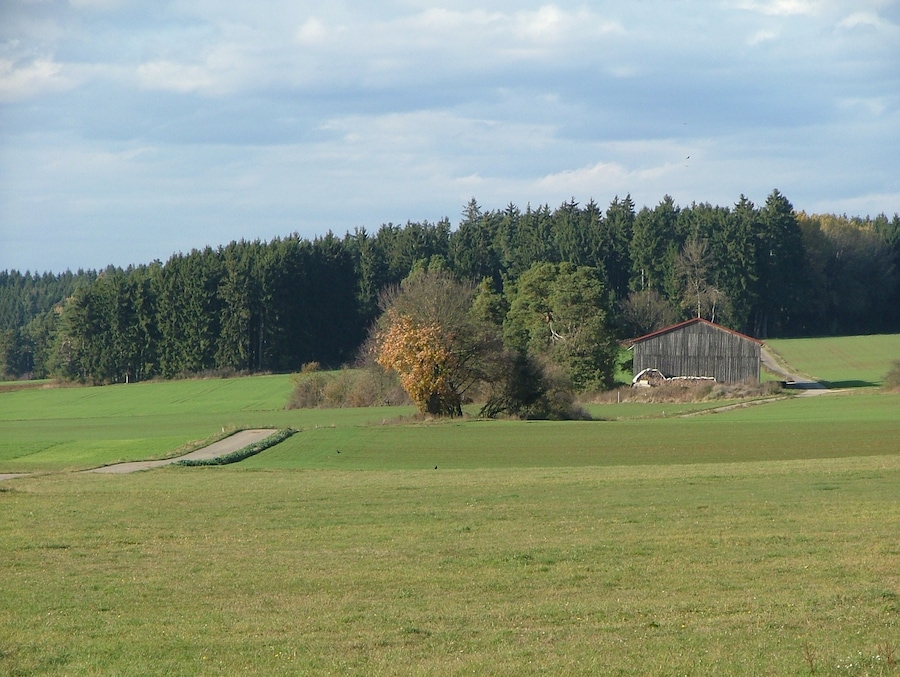 Dorfrand