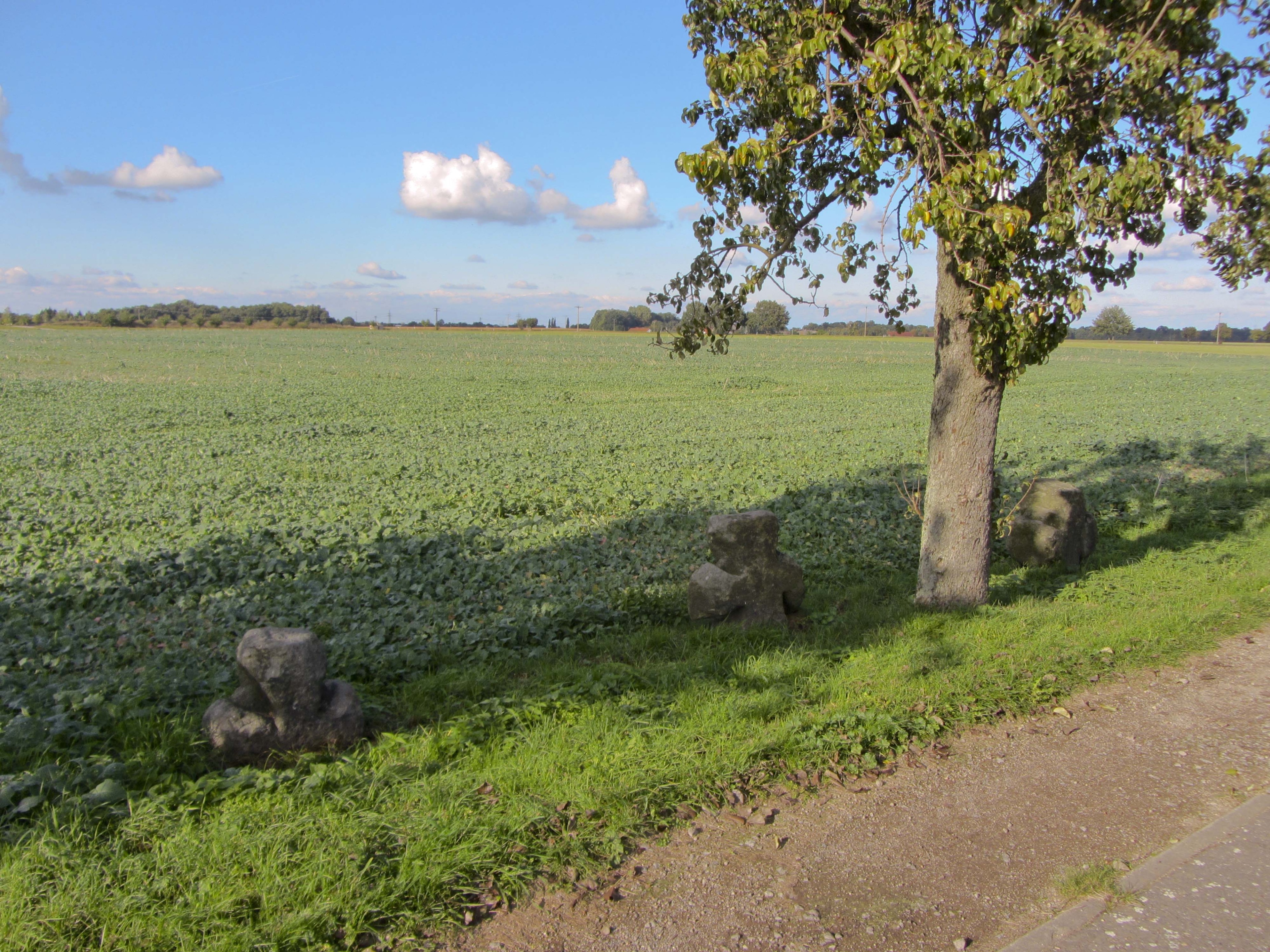 Foto "Nuenchritz" por Radler59 (CC BY-SA) / Recortada de la original