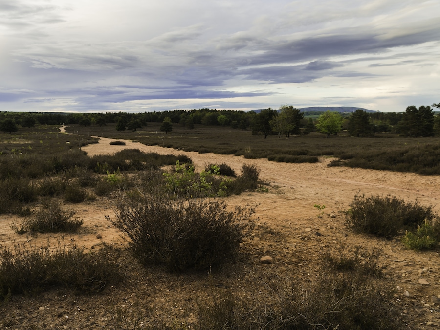 This is a picture of the protected area listed at WDPA under the ID