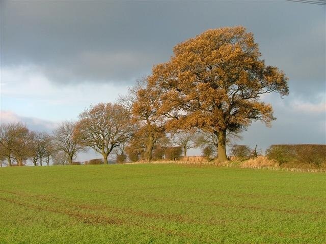 "Neder Silton"-foto av Mick Garratt (CC BY-SA) / Urklipp från original