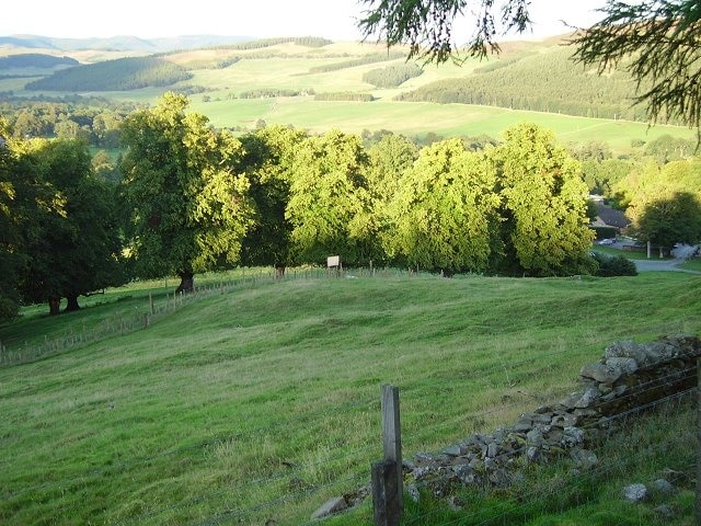 Empty field. Stobo Castle. Enclosure without any biologically insecure livestock, Stobo Castle. Notice threatening sign aimed at the guests in the distance. I wonder what was in here that could be made ill by photography? - probably deer, needing protection from disturbance.. I take it I won't be hauled up in front of the Sheriff for photographing the grass?