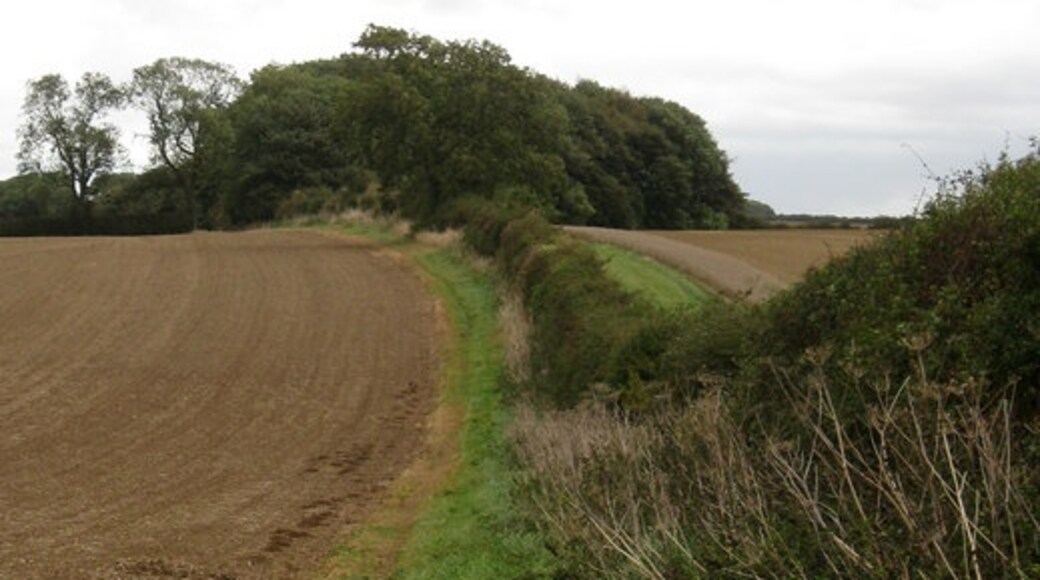 Photo "Wold Newton" by Kate Nicol (CC BY-SA) / Cropped from original