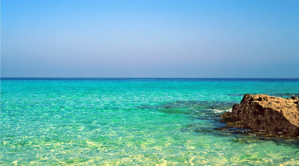 « Playa Alzada», photo de Javier B (CC BY) / rognée de l’originale