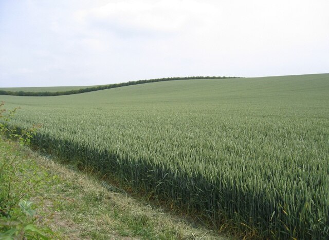 Photo "Orwell" by Rodney Burton (CC BY-SA) / Cropped from original