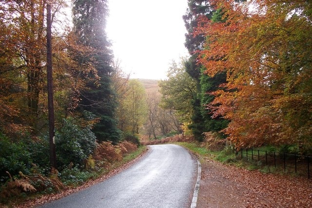 The road past Woodhouses Bastle. The Autumn colours could not be resisted. The red gravel on the side of the road is the parking area for visitors to The Bastle.