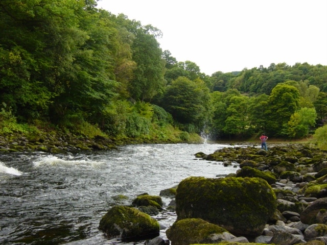 River Tay near Grantully The river alternates between calm ponds ideal for salmon and rapids that excite the rafters.