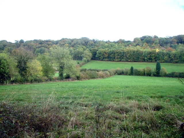 The Grove, TN14. A wooded hillside between New Barn Lane and Cudham Lane South