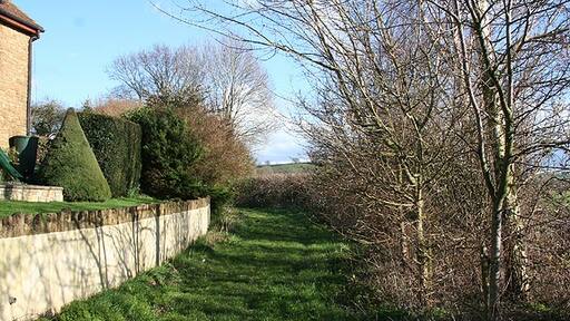 Photo "Puckington" by Martin Bodman (CC BY-SA) / Cropped from original