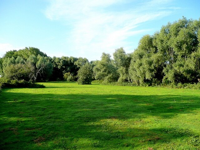 Foto “Hinton on the Green” tomada por Jonathan Billinger (CC BY-SA); recorte de la original