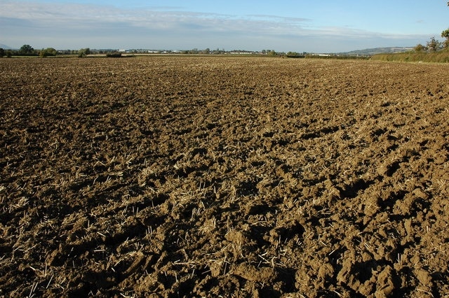 Photo "Ashchurch Rural" by Philip Halling (CC BY-SA) / Cropped from original