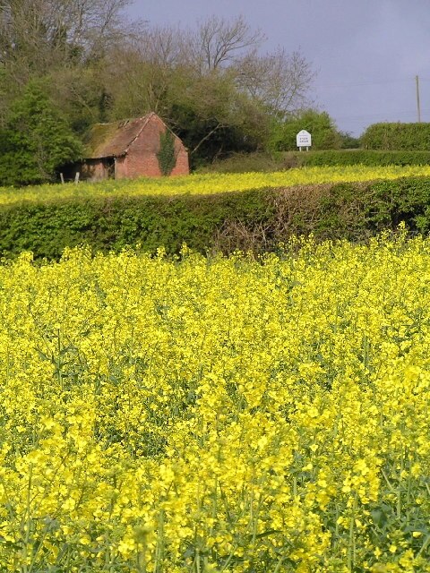 Photo "Stock and Bradley" by Richard Dunn (CC BY-SA) / Cropped from original