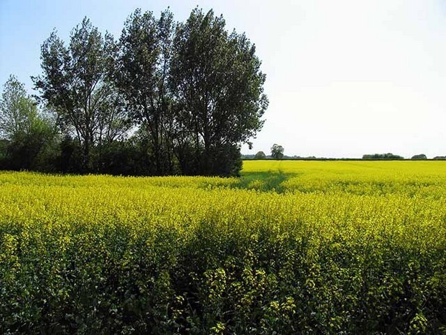 Foto „Brandon Parva“ von John Salmon (CC BY-SA)/zugeschnittenes Original