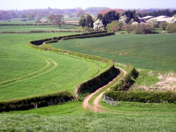 Meandering track to Crimps Farm