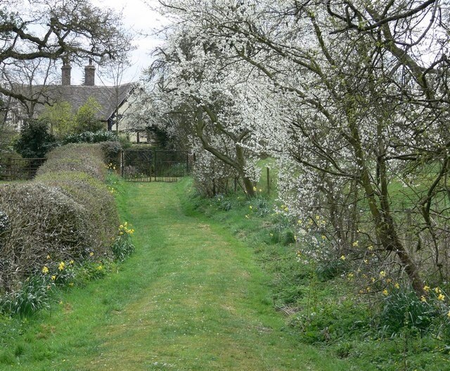 Photo "Sidbury" by Mat Fascione (CC BY-SA) / Cropped from original