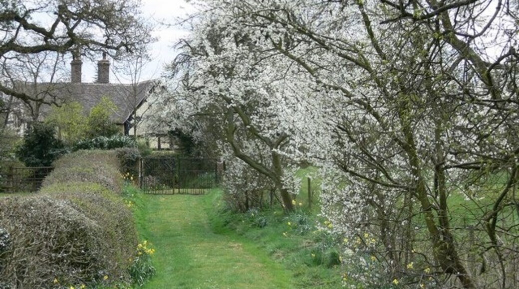 Billede "Sidbury" af Mat Fascione (CC BY-SA) / beskåret fra det originale billede