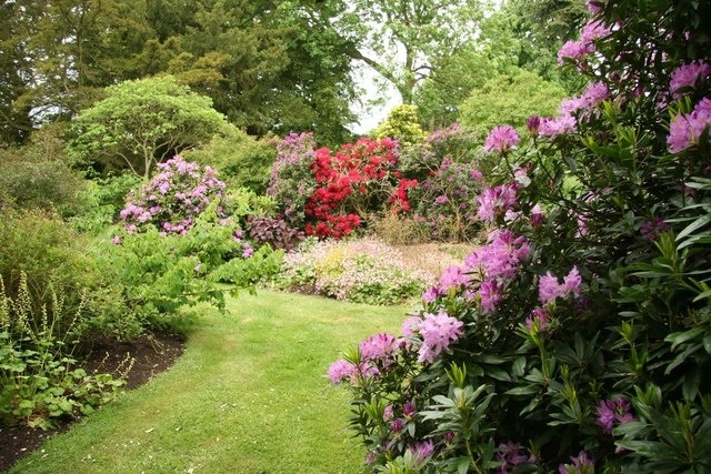 Foto "Doddington e Whisby" de Richard Croft (CC BY-SA) / Recortada do original