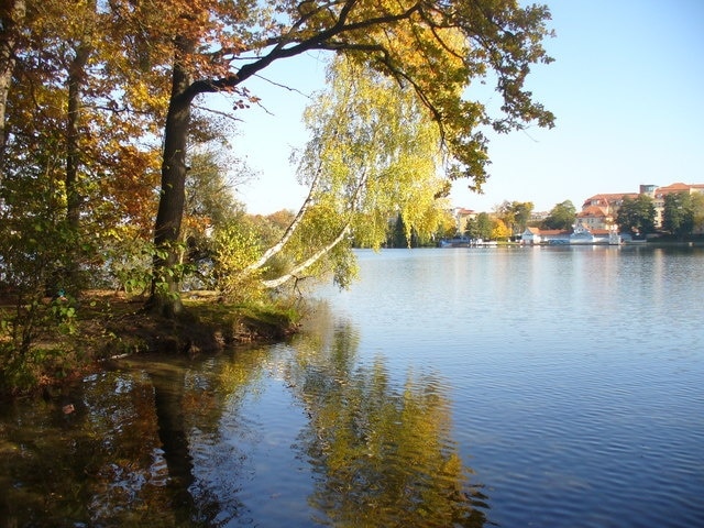 Straussee - Westl. Ufer (Western Bank)