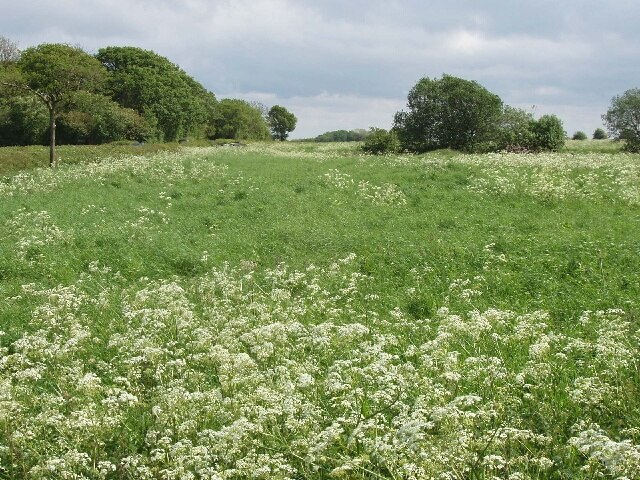 Photo "Wing" by David Hawgood (CC BY-SA) / Cropped from original