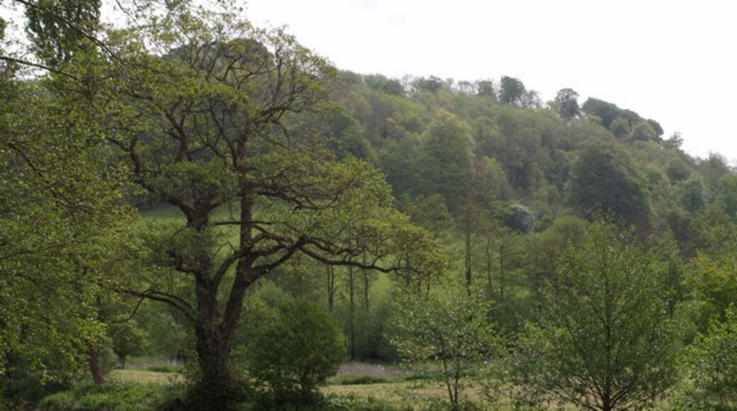 Photo "Owlpen" by Derek Harper (CC BY-SA) / Cropped from original