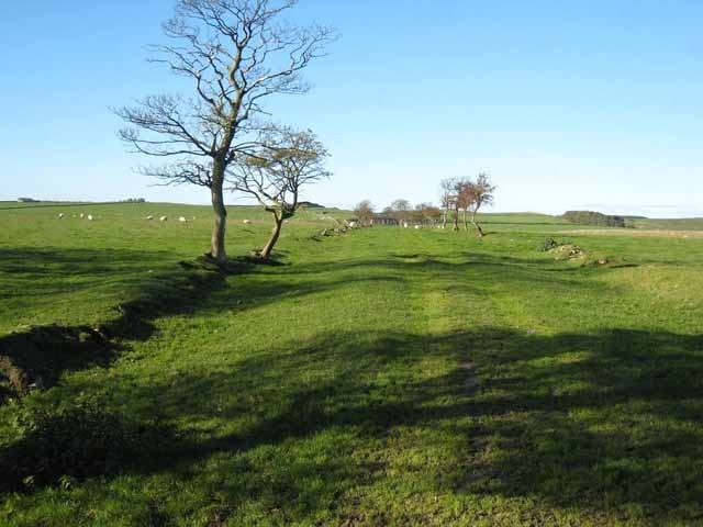 Green road to Little Swinburne This ancient road is now little used except as part of the Reivers Cycle Route, and has grassed over as a result.