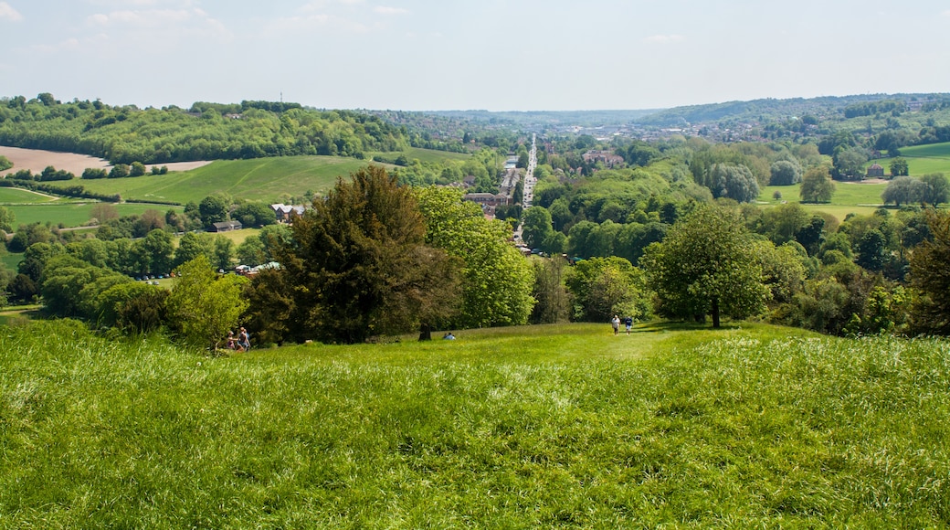 Photo "West Wycombe" by Simon Q (CC BY) / Cropped from original