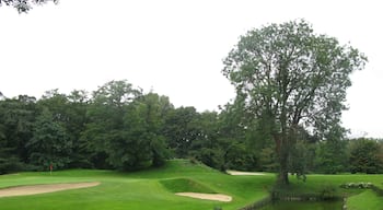 Sart's golf course, Villeneuve d'Ascq.