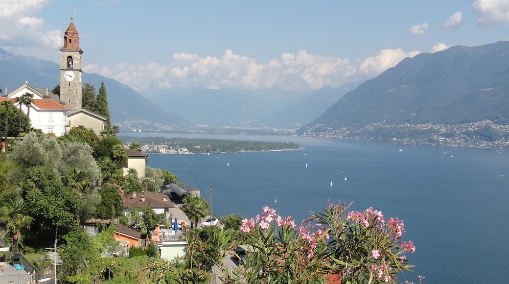 Foto "Ronco sopra Ascona" di Walta (CC BY-SA) / Ritaglio dell’originale