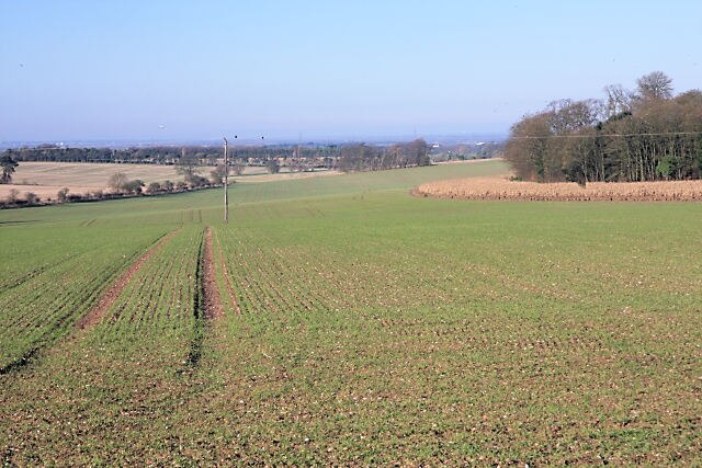 "Carlton"-foto av Bob Jones (CC BY-SA) / Urklipp från original