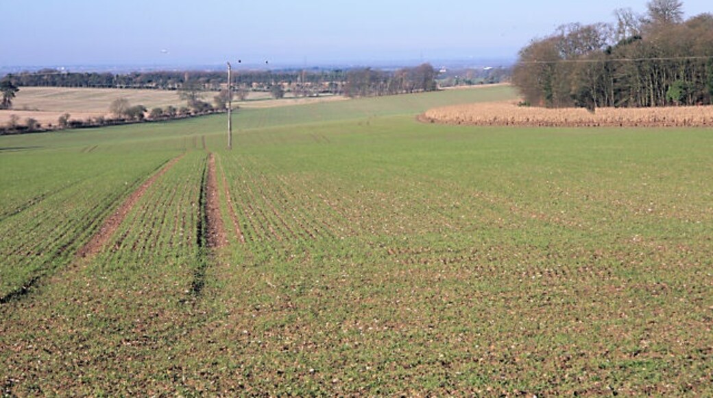 "Carlton"-foto av Bob Jones (CC BY-SA) / Urklipp från original