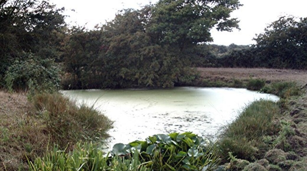 "Ashingdon"-foto av John Myers (CC BY-SA) / Urklipp från original