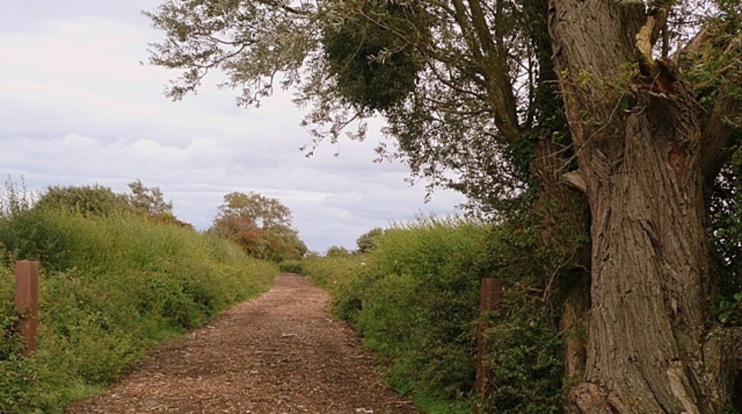 Photo "Redwick" by Graham Horn (CC BY-SA) / Cropped from original