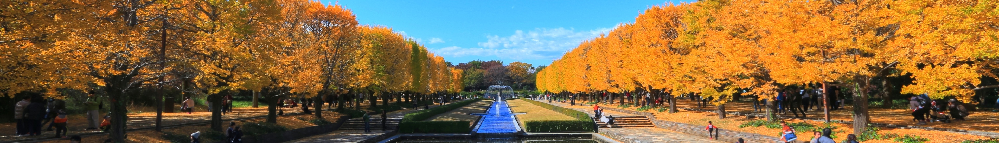 Visit Tachikawa: 2024 Travel Guide for Tachikawa, Tokyo Prefecture