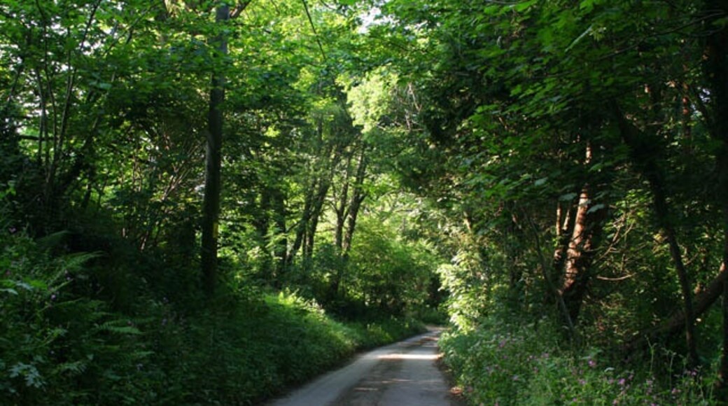 Foto "St. Ive" de Kate Jewell (CC BY-SA) / Recortada do original